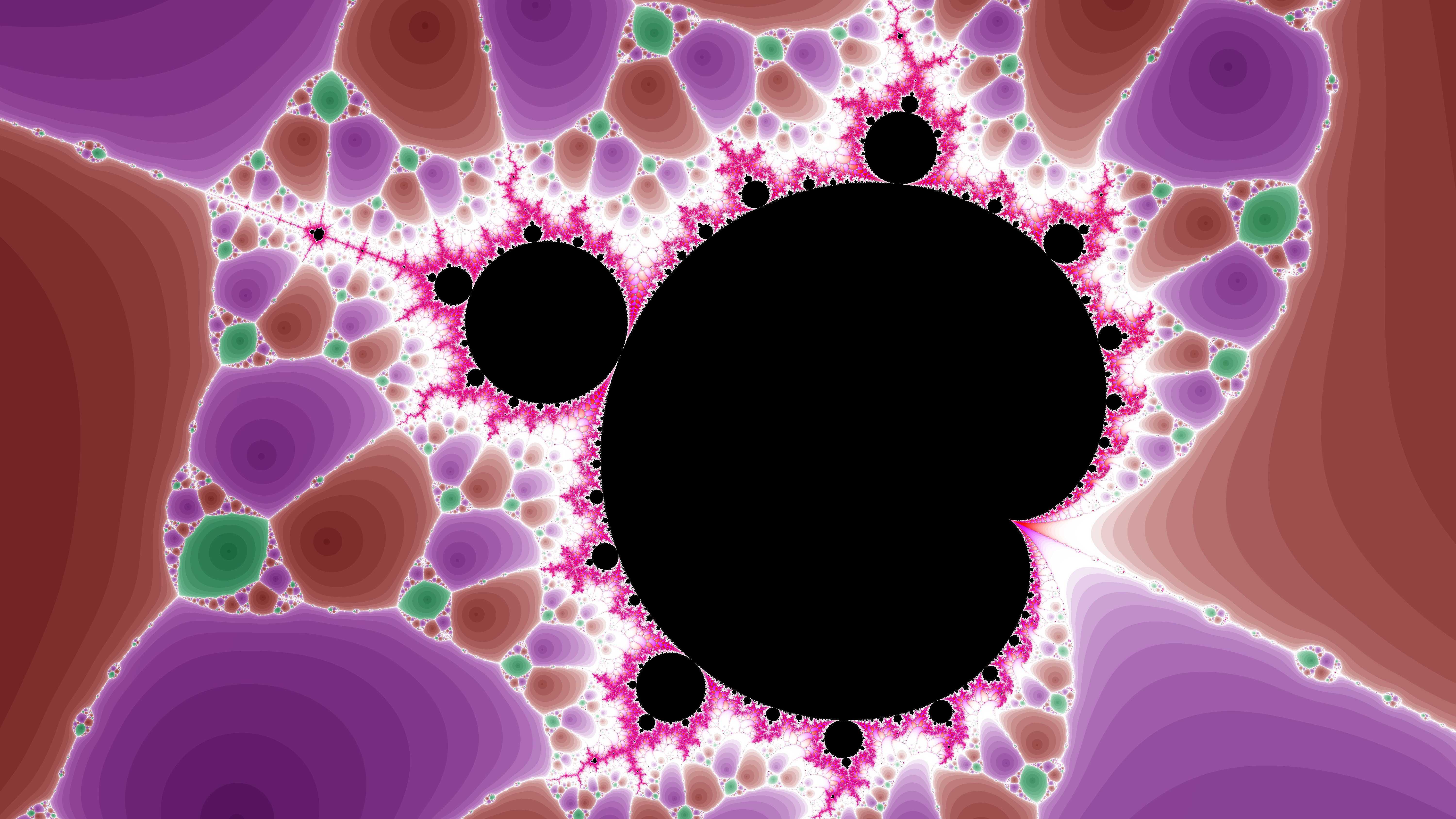 An image of the mandelbrot set. 